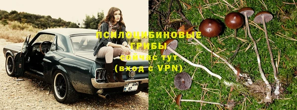 альфа пвп Лихославль