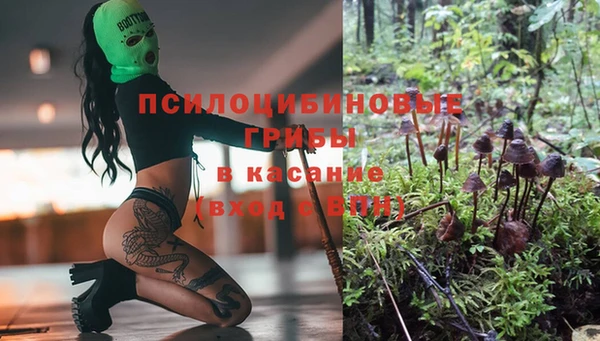 гидра Ладушкин