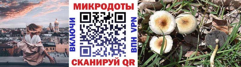 Галлюциногенные грибы ЛСД  цена наркотик  blacksprut как войти  Тбилисская 